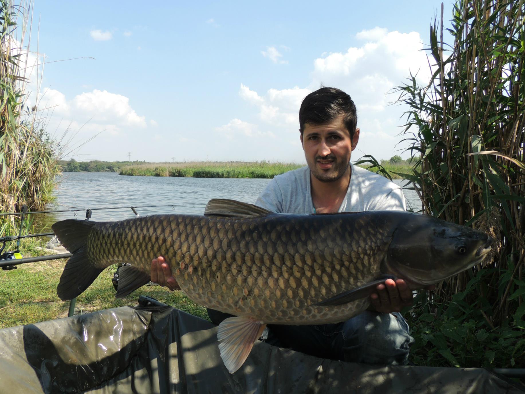 Tancabesti 12 - 14 sep. - 15 kg